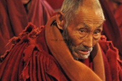 hr32-tibetan-monks