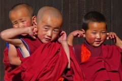 hr43-child-monks-tibet