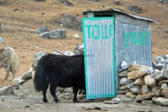 hr91-toilet-block-yak-lodge